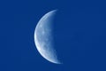 Moon details observing on day blue sky Royalty Free Stock Photo