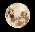 Full Moon Royalty Free Stock Photo