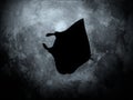 Manta Ray. Moon Dreams Royalty Free Stock Photo