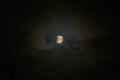 Moon eclipse in full moon. Super blue blood moon Royalty Free Stock Photo