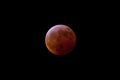 Moon Eclipse of 2019 Royalty Free Stock Photo