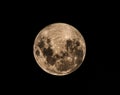Full Moon Royalty Free Stock Photo