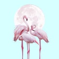 Moon and flamingo background design in pink and turquoise colors