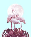 Moon and flamingo background design in pink and turquoise colors