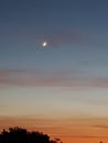 A Moon, Golden and Pink Clouds in the evening