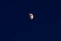 The moon in half moon phase in a deep blue night sky Royalty Free Stock Photo