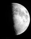 The moon at half phase showing numerous craters Royalty Free Stock Photo