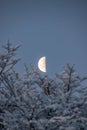 Moon half moon winter snow at nightfall