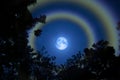 Moon halo double rainbow silhouette grass colorful sky