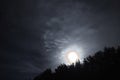 Moon halo night sky stars and blue clouds over forest