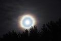 Moon halo night sky stars and blue clouds over forest Royalty Free Stock Photo