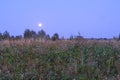 Moon hanging low over the field Royalty Free Stock Photo