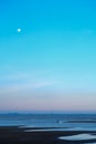 When the moon hits the blue sky with seascape in lately evening and blurred a people walking on the sand beach