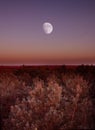 Moon On The Horizon