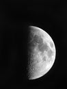 First quarter Moon showing 49% illuminated.