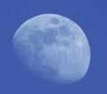 Moon image in daylight Royalty Free Stock Photo