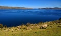 Moon island, Lake Titicaca Bolivia Royalty Free Stock Photo