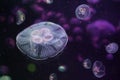 Moon jellyfish (Aurelia aurita). Royalty Free Stock Photo