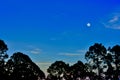 The moon just before sunset Royalty Free Stock Photo