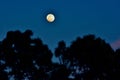 The moon just before sunset Royalty Free Stock Photo