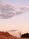 Moon in Kgalagadi Transfrontier Park Royalty Free Stock Photo