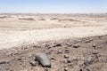 Moon landscape, namibia