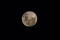 Moon at it largest also called super moon, Moon with a clear night surface Royalty Free Stock Photo