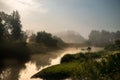 Moon light at night over river Royalty Free Stock Photo