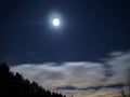 Forest pine trees under moon and blue dark night sky Royalty Free Stock Photo
