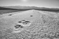 Moon-like surface of the Badwater Basin.