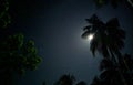 Moon lit night photo graphy Royalty Free Stock Photo