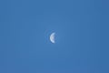 Moon Lunar / Luna on the blue sky. Half Lunar moon in a clear daylight sky. Earth Moon Lunar on day time in center of the frame. Royalty Free Stock Photo