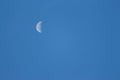 Moon Lunar / Luna on the blue sky. Half Lunar moon in a clear daylight sky. Earth Moon Lunar on day time with Copy space for text