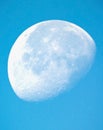 Moon in the morning Royalty Free Stock Photo