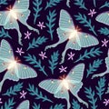 Moon moth with flowers vector seamles pattern