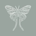 Moon moth. Wildlife concept. Boho tattoo art, fantasy ethnic style. Ornate insect. Vector illustration. Royalty Free Stock Photo