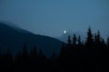 Moon in the mountains landscape with coniferous trees Royalty Free Stock Photo