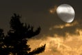 Moon mystic night Royalty Free Stock Photo