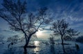 Moon night with asian fisherman work on mangrove forest