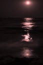 Moon at night, moonlight on sea waves