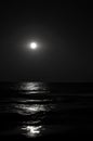 Moon at night, moonlight on the waves of the sea. Horizon