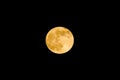 Moon in the night sky Royalty Free Stock Photo