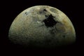 The moon in the night sky close-up. 3D rendering Royalty Free Stock Photo