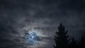 Moon in the night sky timelapce