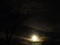 The moon at night is very beautiful and bright Royalty Free Stock Photo