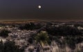 Moon over Desert