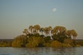 Landscape: Moon over palms, Zambezi river Royalty Free Stock Photo