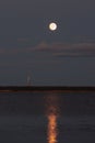 moon over sea at night, reflection of light from celestial body in water. moonlight path Royalty Free Stock Photo