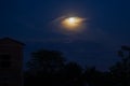 Moon over trees Royalty Free Stock Photo