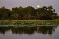Moon Over The Wetland, Corroboree Billabong, Northern Territory, Australia